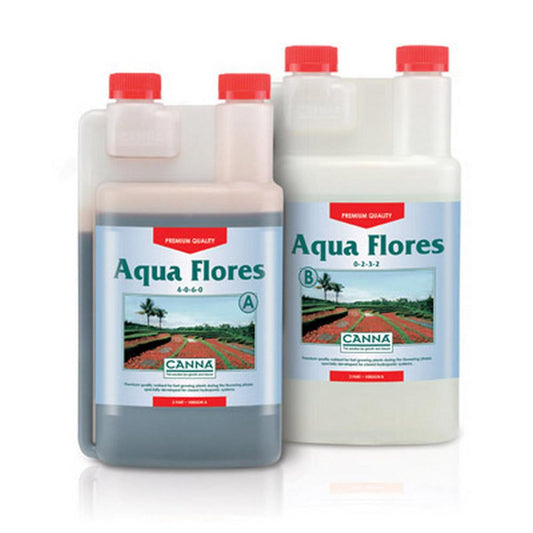 Aqua Flores A&B